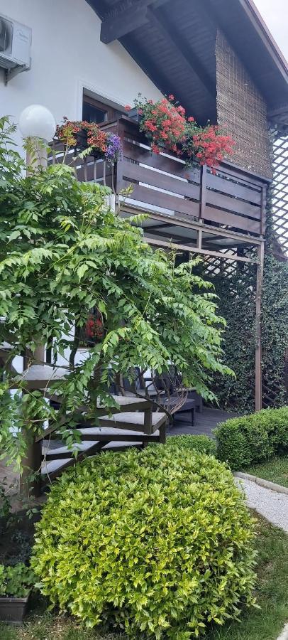 Alexander House Hotel Deva Exterior foto